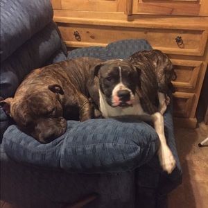 Meet your Posher, Daniel